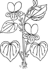Stream Violet Coloring Page Clip Art